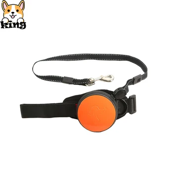 

Retractable Traction Rope Cat and Dog Collar Dog Accessories Various Styles of Dog Gear Essential for Dogs Going Out