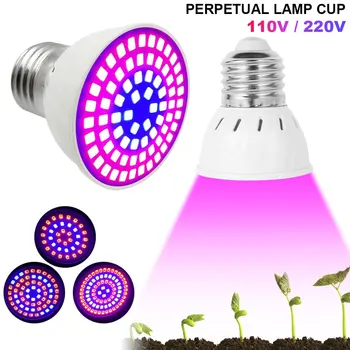 

Full Spectrum LED Grow Light Bulbs E27 110V 220V LED Plant Grow Light Bulb 4W UV Lamp Plant Flower Seedling Fitolamp Phyto Lamp