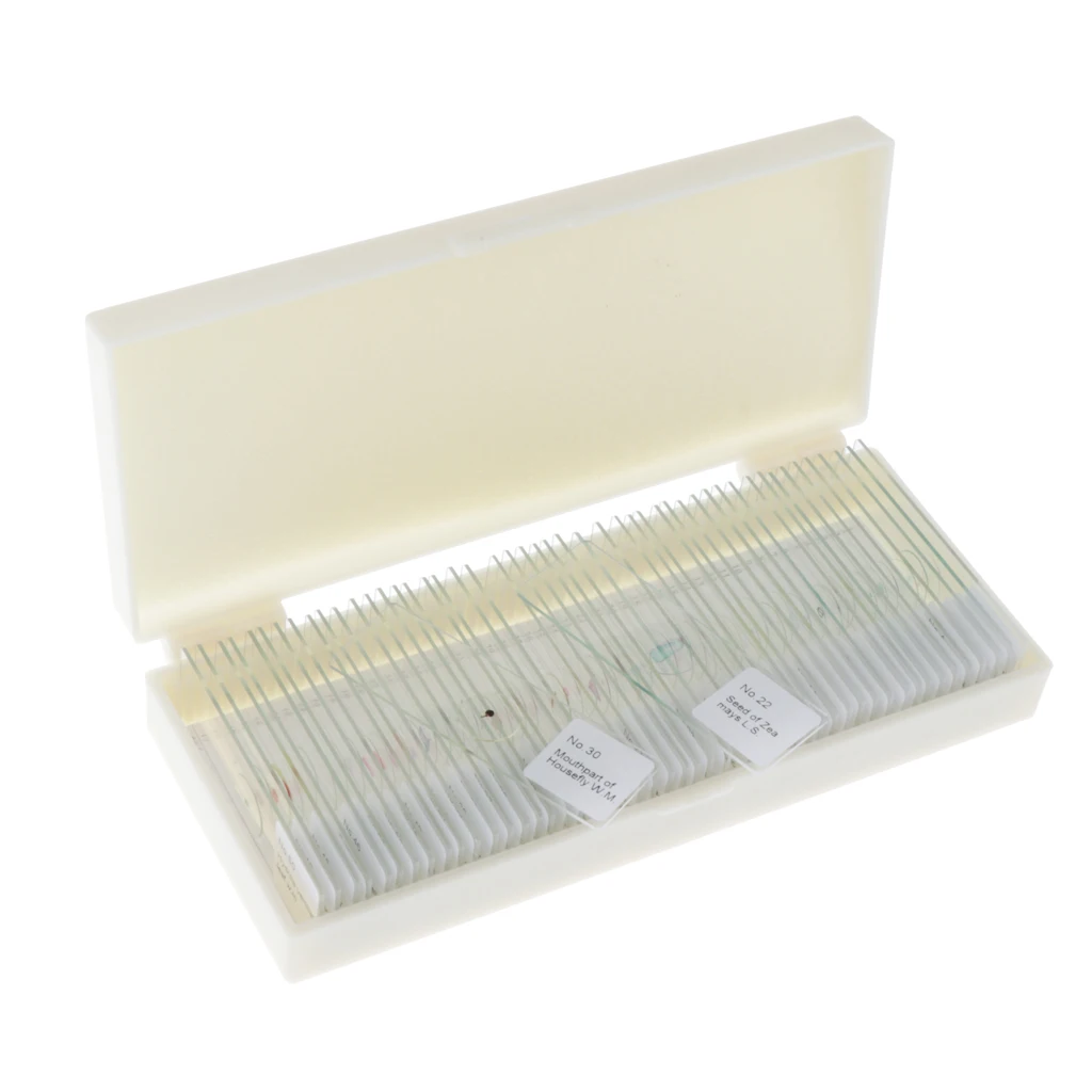 Prepared Slide Set - 50-piece Blank Slides for Microscope with Storage Case