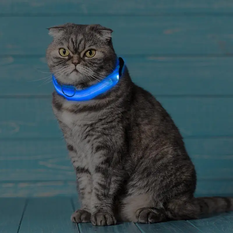LED Pet Dog Cat Collar Luminous Safety Glow Necklace Flashing Lighting Up Collars For Puppy Cat Pet Supplies Cat Collars
