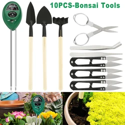 Thermomètre de sol pour la plantation de plantes succulentes, ensemble de 10 pièces, pour l'extérieur, outils de bonsaï, pour la plantation de fleurs, outils de jardinage miniatures 