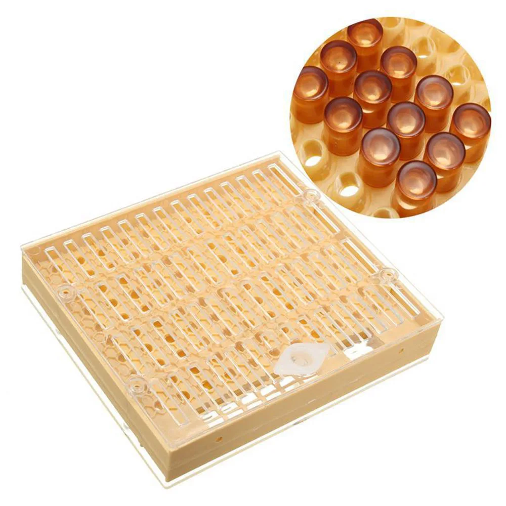 Лидер продаж инструменты для пчеловодства набор оборудования королева культивирующая коробка пластиковые пчелиные чашки клетка инструмент пчеловода комплект