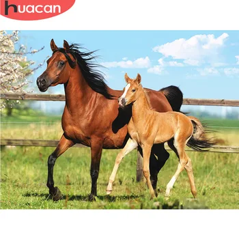 

HUACAN Full Square Diamond Painting 5D Horse Diamond Embroidery Cross Stitch Animal Gift Home Decoration Diamond Art