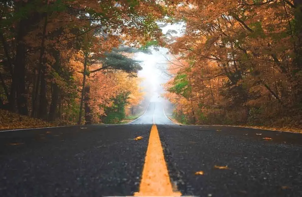 

SHUOZHIKE Vinyl Custom Photography Backdrops Prop Autumn Scenery Theme Photo Studio Background MH19511-902