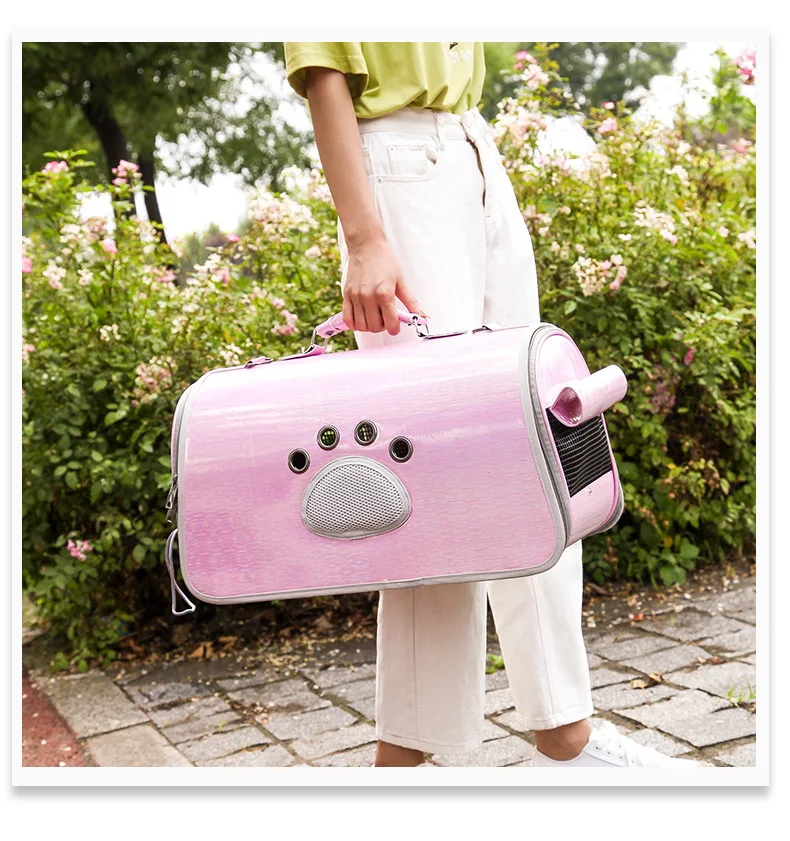 11538072165_299322169