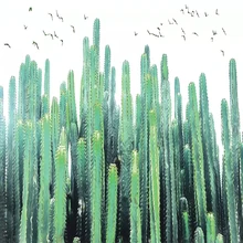 Фото обои 3D Ручная роспись тропический кактус растения фрески обои для гостиной спальни столовой домашний Декор 3D Фреска