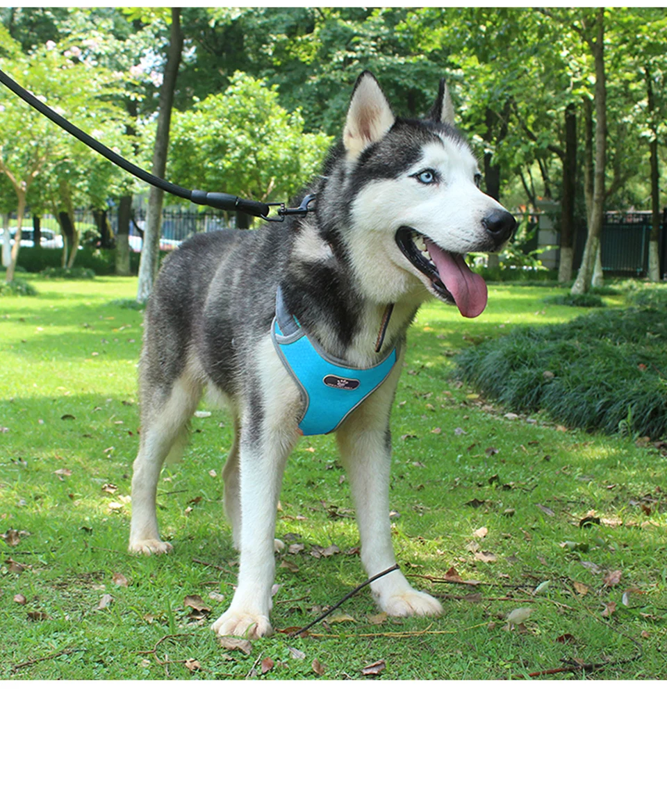 H6c417c582b734709a989d53be6b7261cE