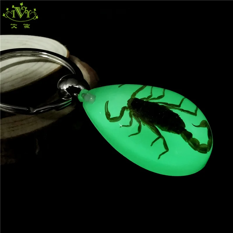 

Luminous Real Scorpion Wasp Key Chain Bag Car Key Ring Glow In Dark Original Keychains Insect Trinket for Men Woman's Accesories