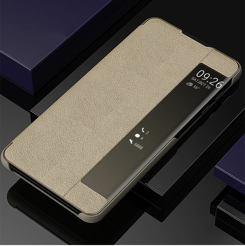 note 10 case (15)