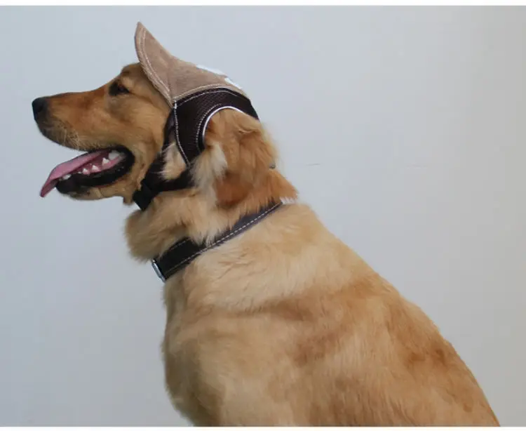 Summer Dog Cat Baseball Cap Headdress Teddy Golden Retriever Large