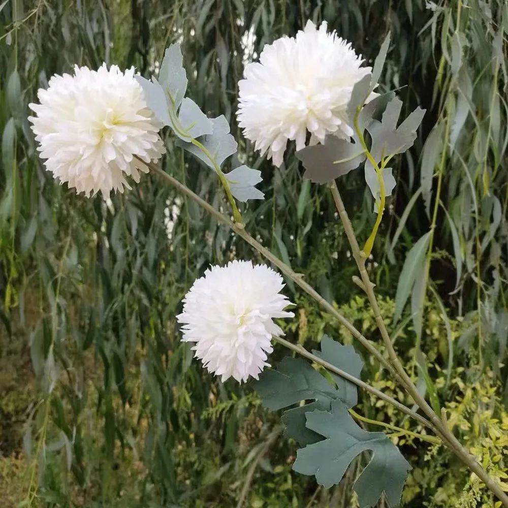 微信图片_20191019193419_副本