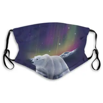 

Northern Lights Polar Bear Printed Dust Mouth Mask With Replaceable Filter, Reusable Breathable Mask For Women And Men