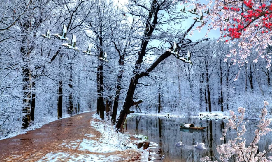 QQ截图20191013230514