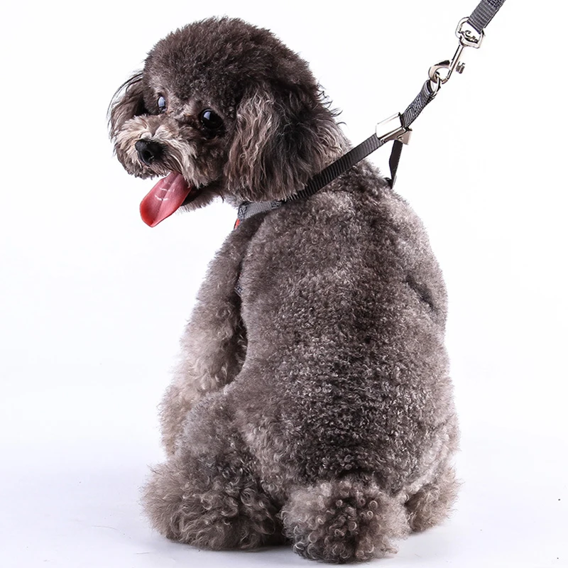 4592068233_1043553121