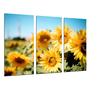

Field Yellow Sunflowers, photo print on wood, modern picture decorative 26297