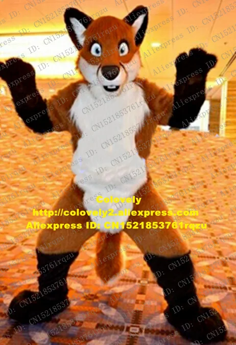 zz7669.1
