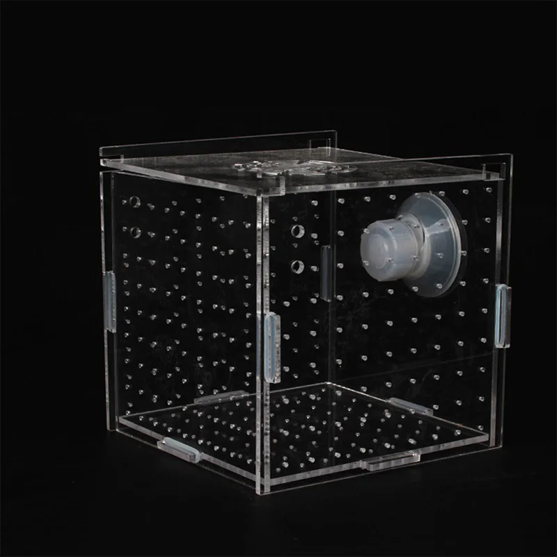 Fish Tank Transparent Aquarium Single Double Multi Grid Isolation Box Small Fry Incubator Breeding Box Aquatic Pet Supplies 1pcs fish aquarium,fish breeding box