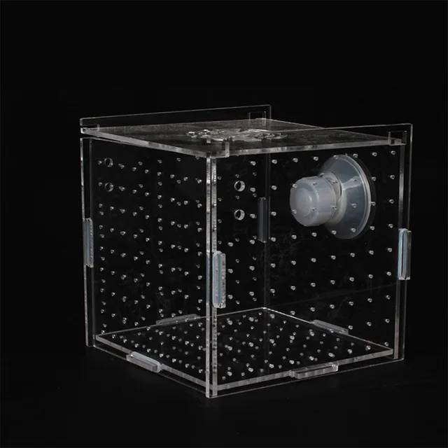 1pcs Fish Tank Transparent Aquarium Single Double Multi Grid Isolation Box Small Fry Incubator Breeding Box Aquatic Pet Supplies 4