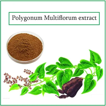 

Polygonum Multiflorum extract amti aging ,li ver protection, antibacterial 90pcs