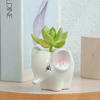 Nordic New Style Ceramic Animal Flower Pot Cartoon Zebra Sheep Cow Head Mini Pot Succulents Plants Bonsai Pots Home Decoration 3