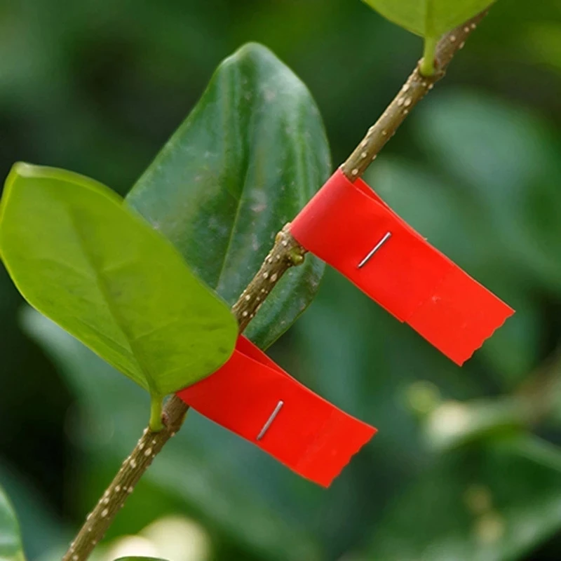 Description Picture 6 of itemOnnfang 10pcs Garden tape tool Trunk Connect Stem Hand tying Stake Fruit Tree Link bind belt Tie Tape Tools