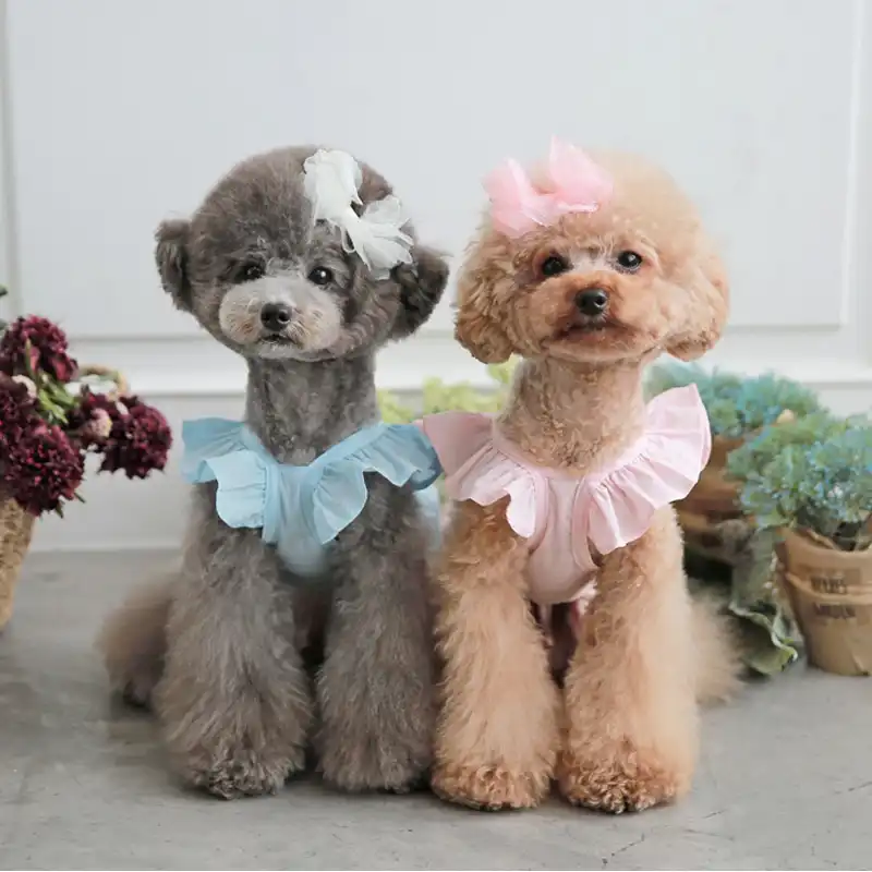 small dog dresses cheap