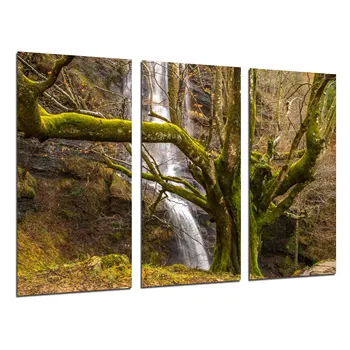 

Forest Tree Nature photo print on wood, modern picture decorative 26252