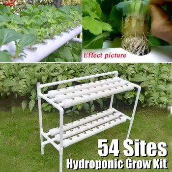 

Plant Hydroponic Systems Grow Kit 54 Holes Nursery Pots Anti Pest Soilless Cultivation Indoor Garden Culture