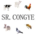 SR.CONGYE Blu-ray instrument room Store