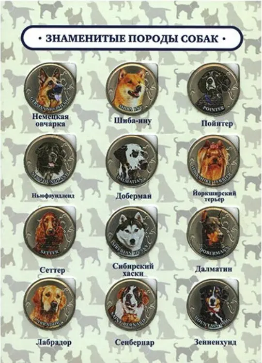 Рисунок 2 - Набор монет 1 рубль 2017 Знаменитые