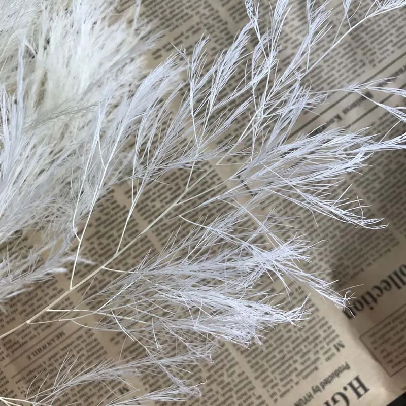 QQ图片20200922230138