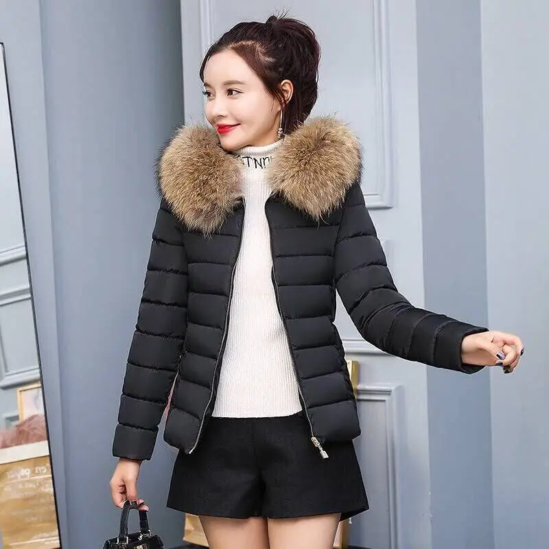 Goedkoop Hoge Kwaliteit Vrouwen Winter Jassen Nieuwe Beneden Katoenen vrouwen Jassen Korte Grote Haar Kraag Slim Grote Maat Katoen Jassen