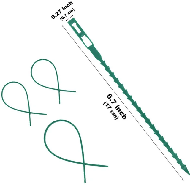 50Db/Set Állítható Műanyag Növényi Kábelkötegek Újrahasznosítható Üvegházhatású Készletek Kerti Fa Virágmászó Támogatáshoz - Image 4