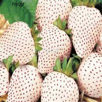 

Ngryise 50000Pcs A Set Chinese strawberry caomei