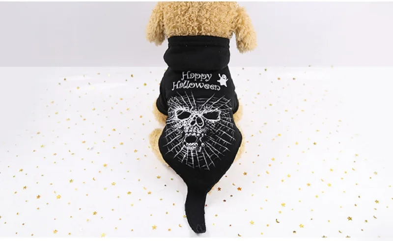 11593322080_1119372358