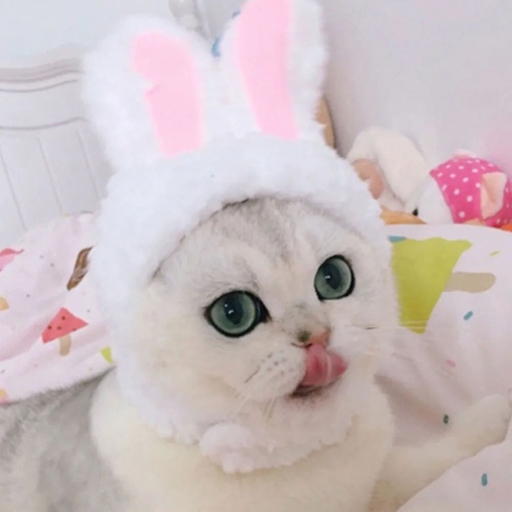 307640_no-logo_307640-1-03-g