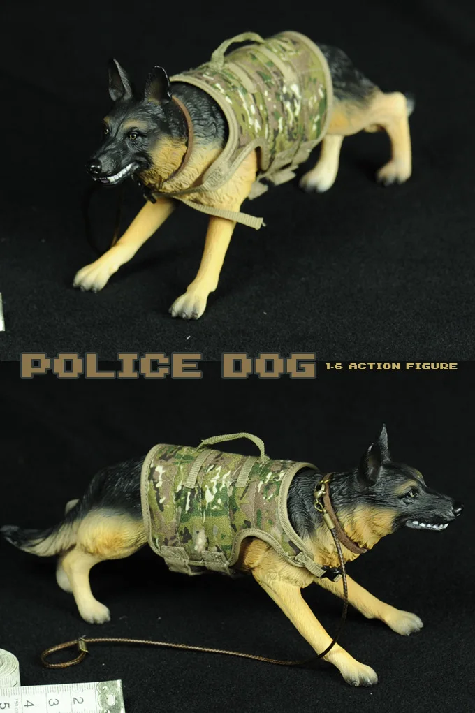 11317923847_1571570621