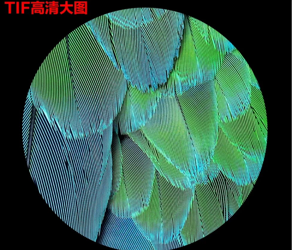57