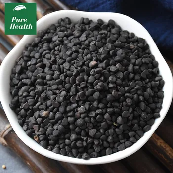 

Morning Glory Seed (Qian Niu Zi)Semen Pharbitidis