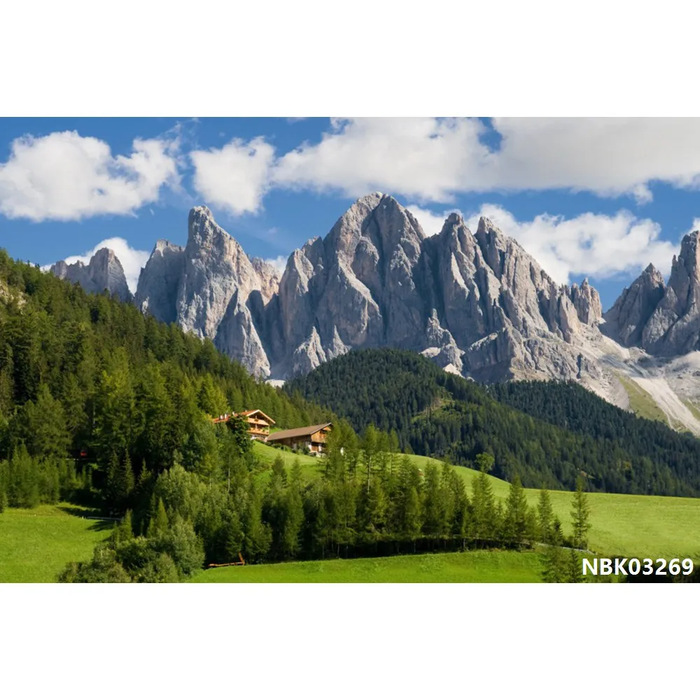 thumbnail image 1 of Fondos de fotografía de paisajes naturales con cielo azul, nubes blancas, montañas, árboles y ríos para bebés, 1 of 5