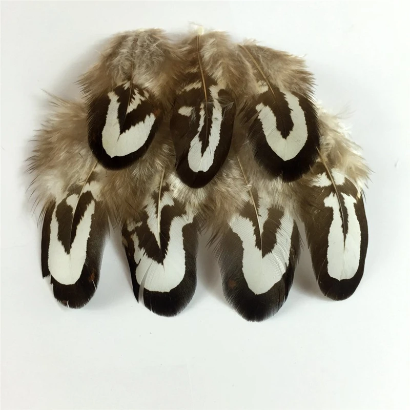 

Wholesale Natural Pheasant Feather 3-7CM 1-3inch length Chicken Feathers for Crafts diy jewelry decorative accessories Plumes