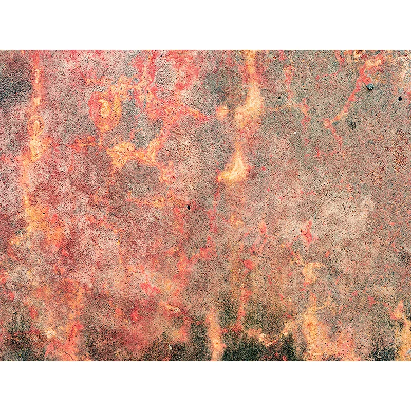 SHENGYONGBAO 븮  , ߻ ׶̼,  ʻȭ  ,  Ʃ ǰ DDS-03