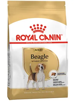 

ROYAL CANIN ROYAL CANIN BEAGLE ADULT adult beagle