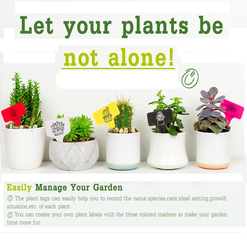 100pcs Colorful Plant Tags T-type Garden Bonsai Succulent Seedings Tags Flower Pot Plants Garden Ornaments  Indoor Garden Labels (6)