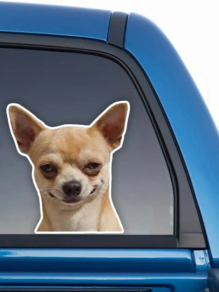 Nouiroy - Adesivi Per Cani Per Auto, Motivo: Chihuahua E Battito