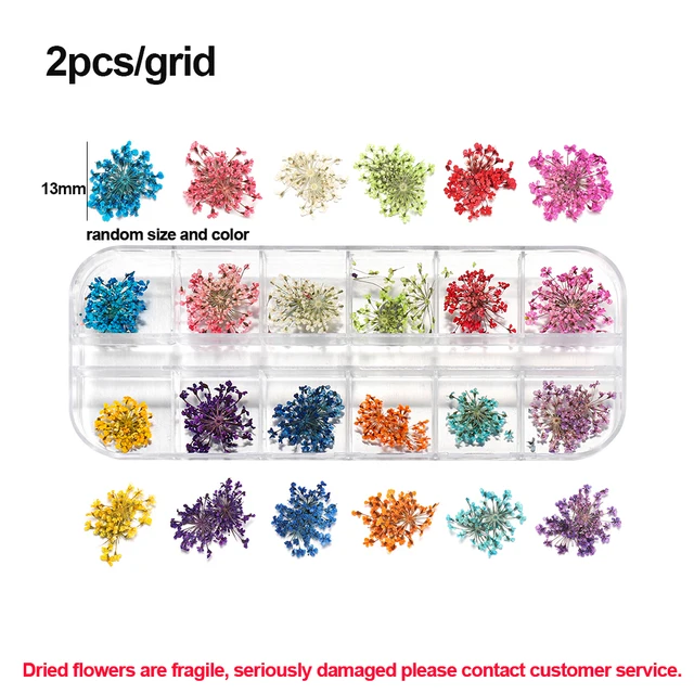 1Box Dried Flowers Dry Plants for Rsein Molds Fillings Epoxy Resin Pendant Tweezers Jewelry Making Craft DIY Nail Art Decoration Style 05