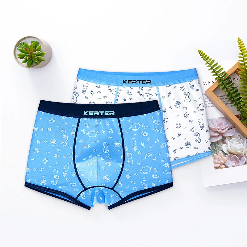 2pcs/lot Kids Boys Shorts Blue Striped Briefs Cotton Children Underwear Casual Teenage Panties Toddler Baby Underpants Clothes - Цвет: 2PCS B03