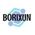 BORIXUN Sunglasses Store