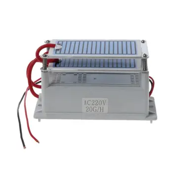 

20g/H Ozone Generator Integrated Ceramic Plate AC 220V Ozonizer for Dryer