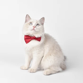 

Pet Dog Cat Bow Tie Pet Puppy Grooming Costume Accessories Necktie Decorative Collar For Pet Party